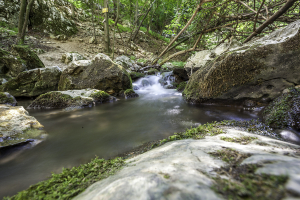 vratnjanske_kapije06