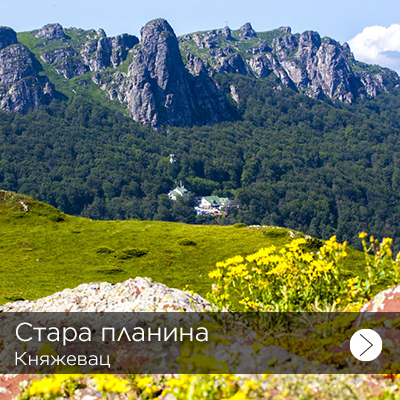 kuca stevana mokranjca 1