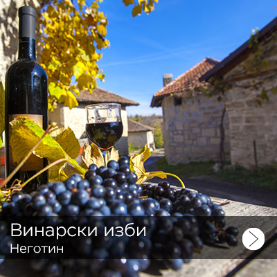 kuca stevana mokranjca 1