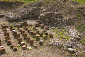 timacum-minus-terme
