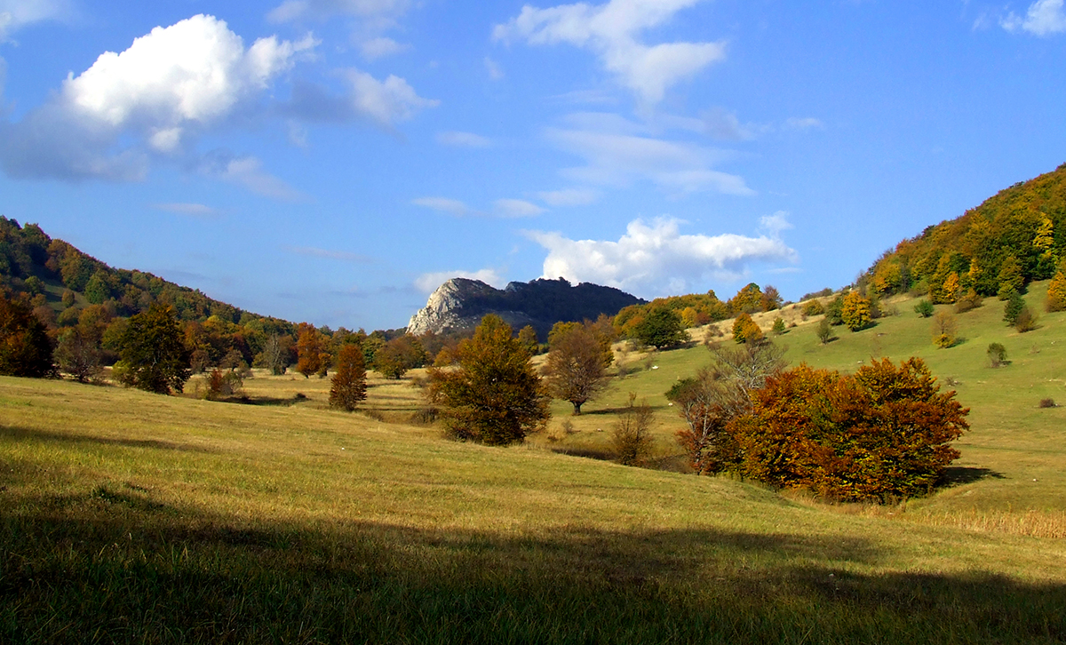 biciklista