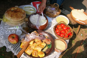 etno-fest-kladovo-01