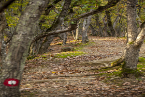 vratnjanske_kapije01