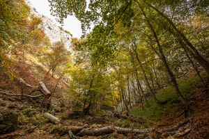 vratnjanske_kapije08