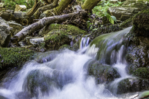 vratnjanske_kapije03