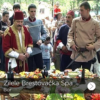 muzej hajduk veljka 1