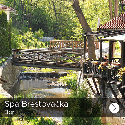 kuca stevana mokranjca 1