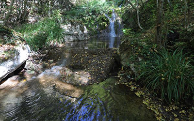 narodni muzej zajecar 03